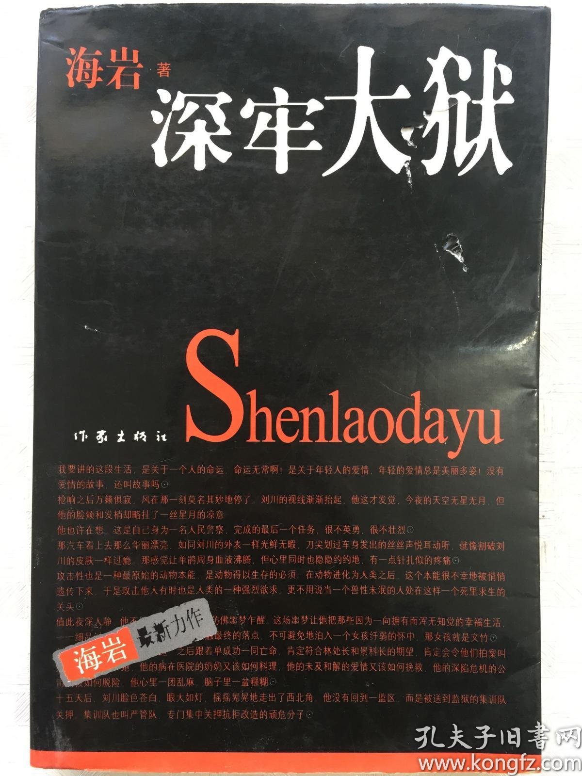 深牢大狱:海岩最新力作