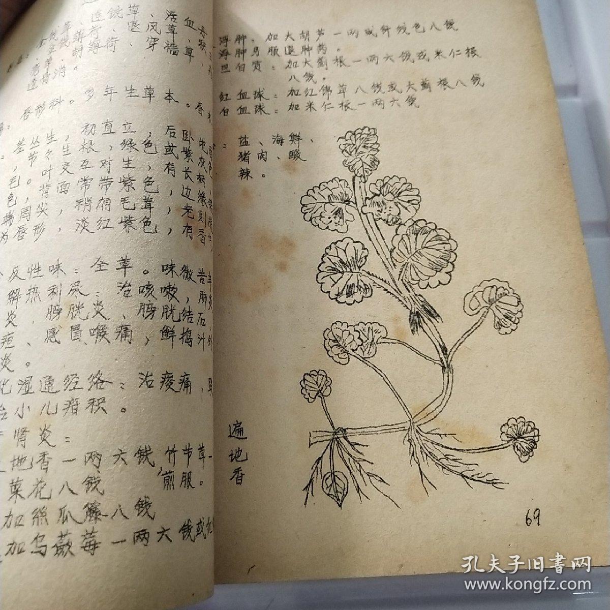 中草药土方汇编