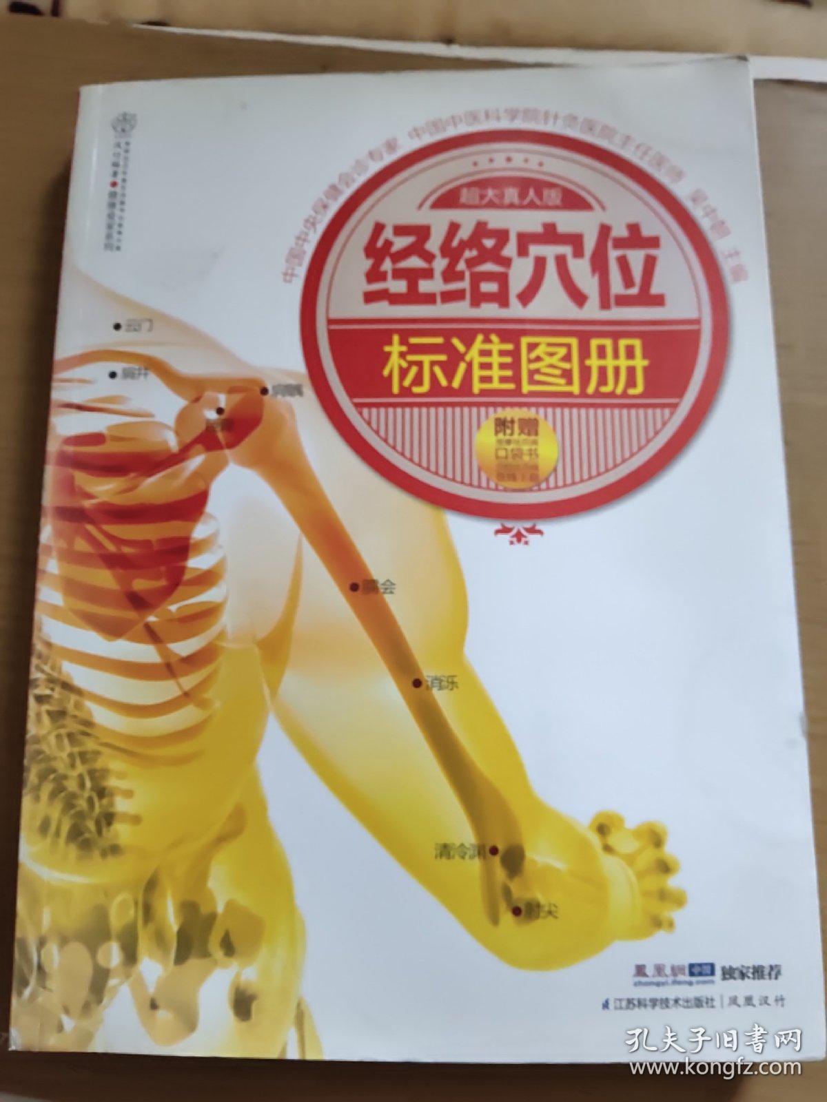 经络与女性健康(经络与女性健康纪峰网课)-第2张图片-鲸幼网
