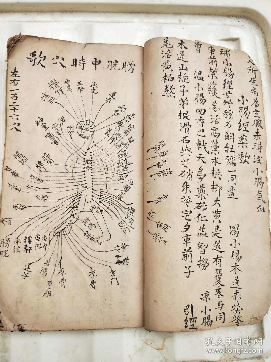 江西武门世家祖传穴位脉诀经络人图一册手抄本老药书52个筒子页年份老