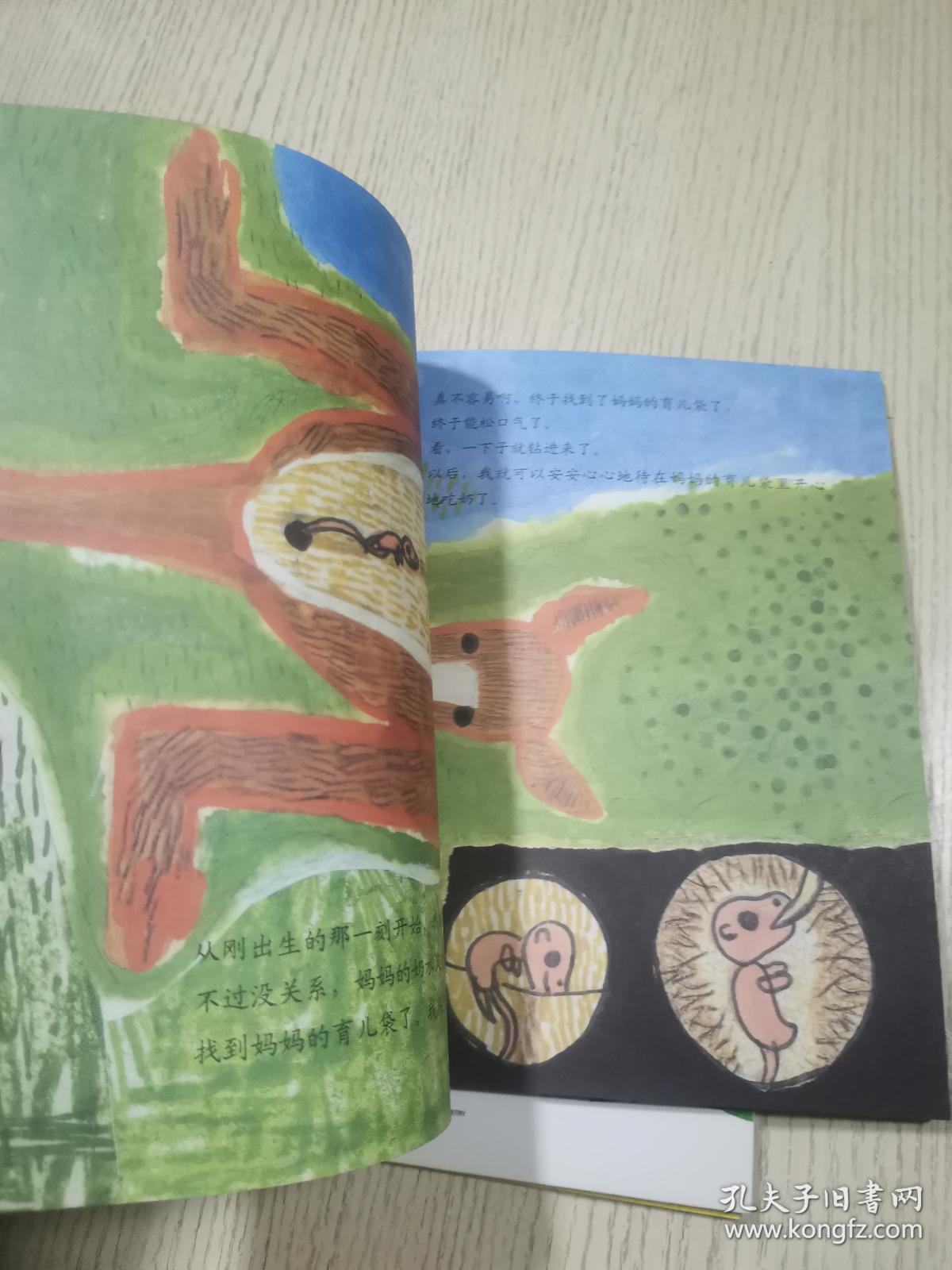 新生命科学绘本:《了不起的粪便》《呱呱坠地》《母乳是最棒的》3册合