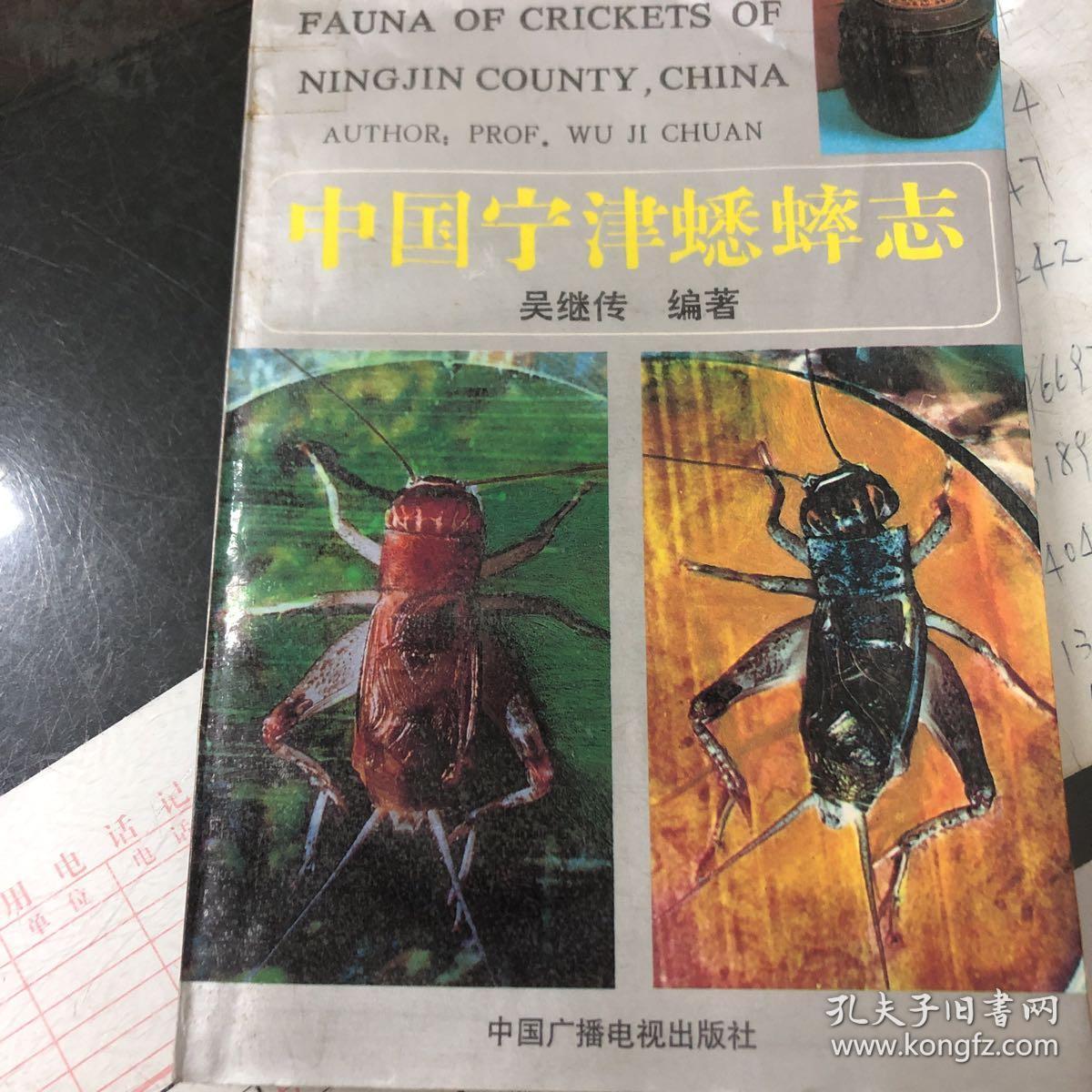 中国宁津蟋蟀志下载图片