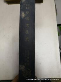 历史丛书：中国文化史（中华民国20年）