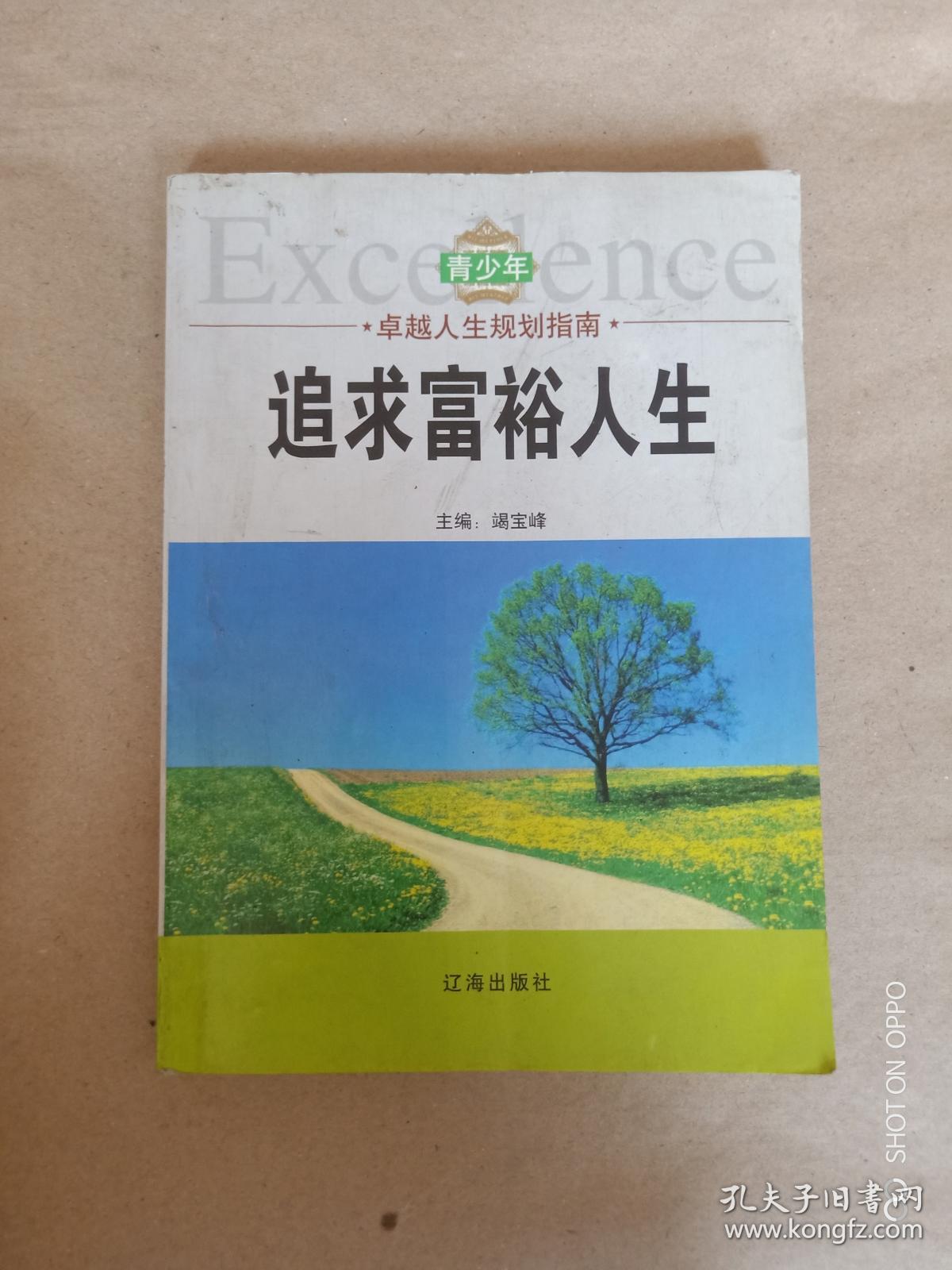 青少年卓越人生规划指南:追求富裕人生