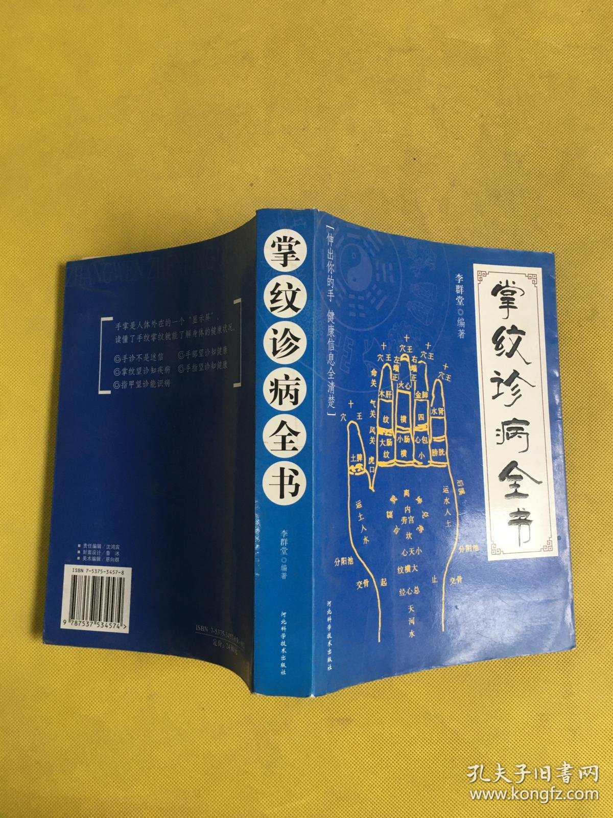 掌纹诊病全书