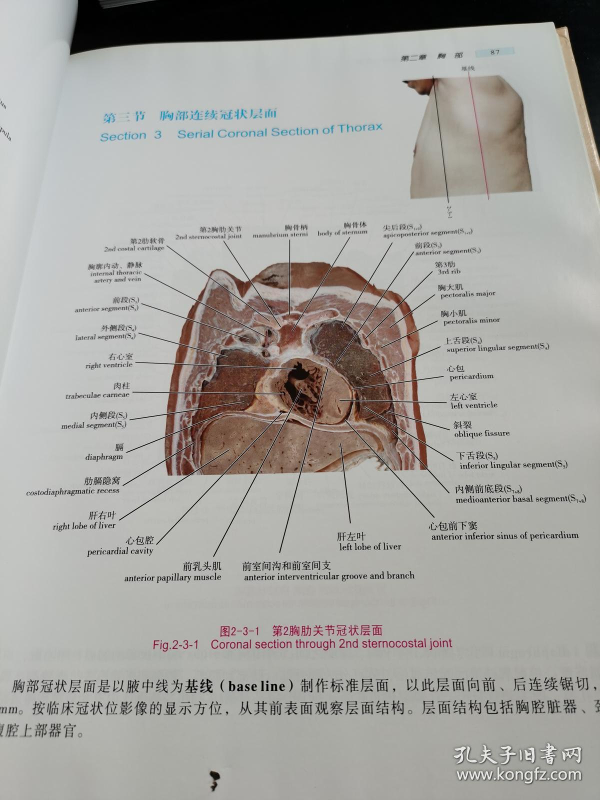 《人体三维断层解剖学图谱》(大16开精装,9品)