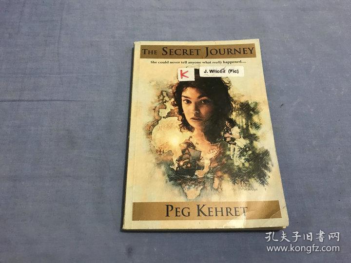 the secret journey peg kehret