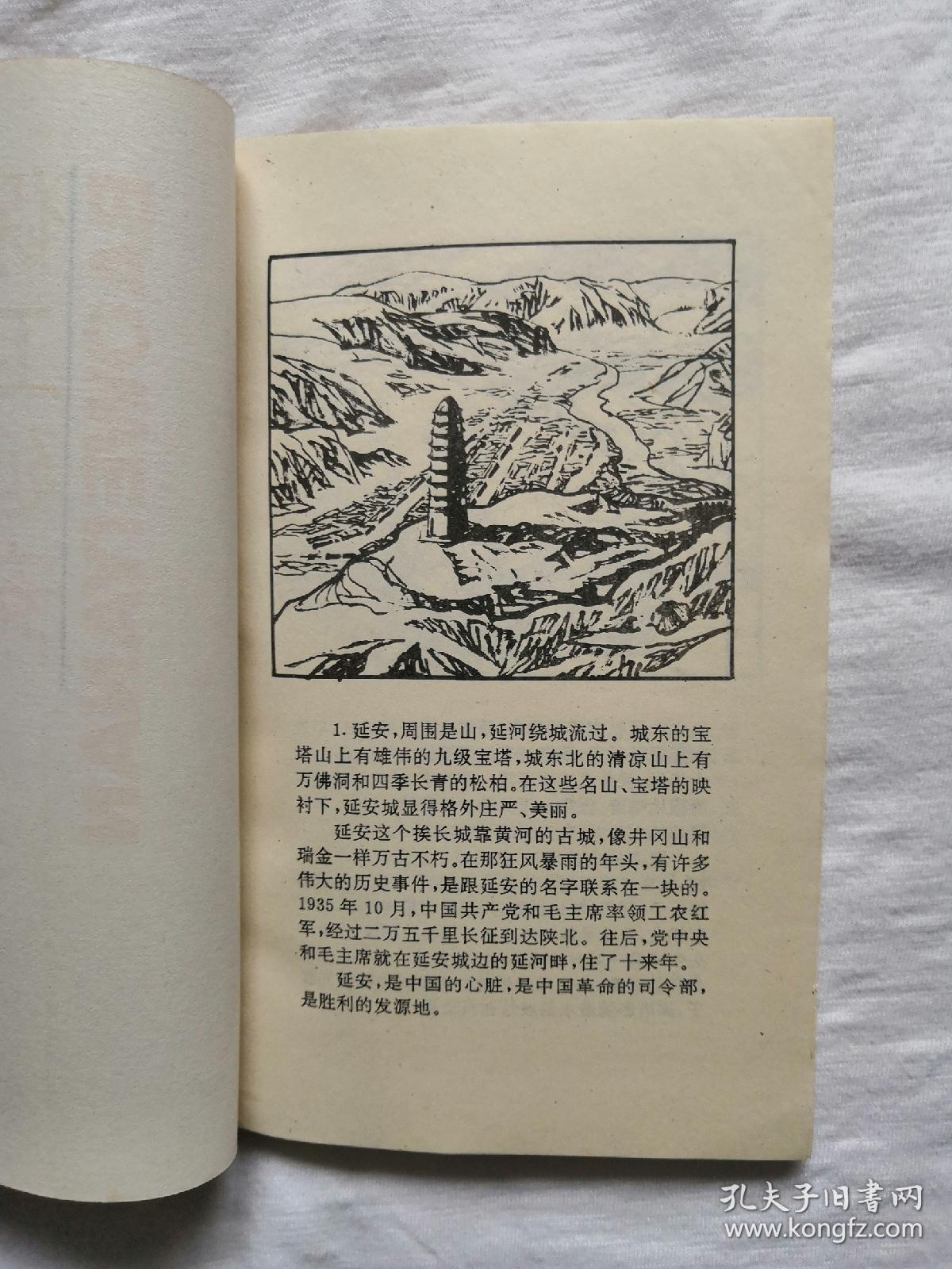 保卫延安(绘画本)