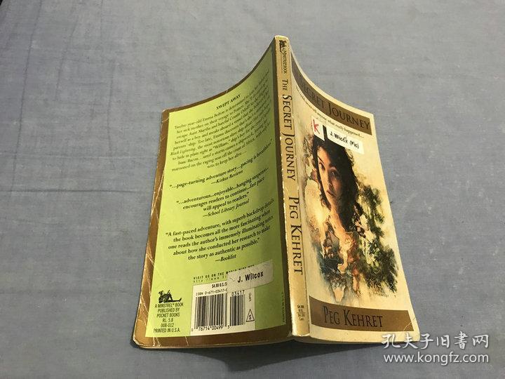 the secret journey peg kehret