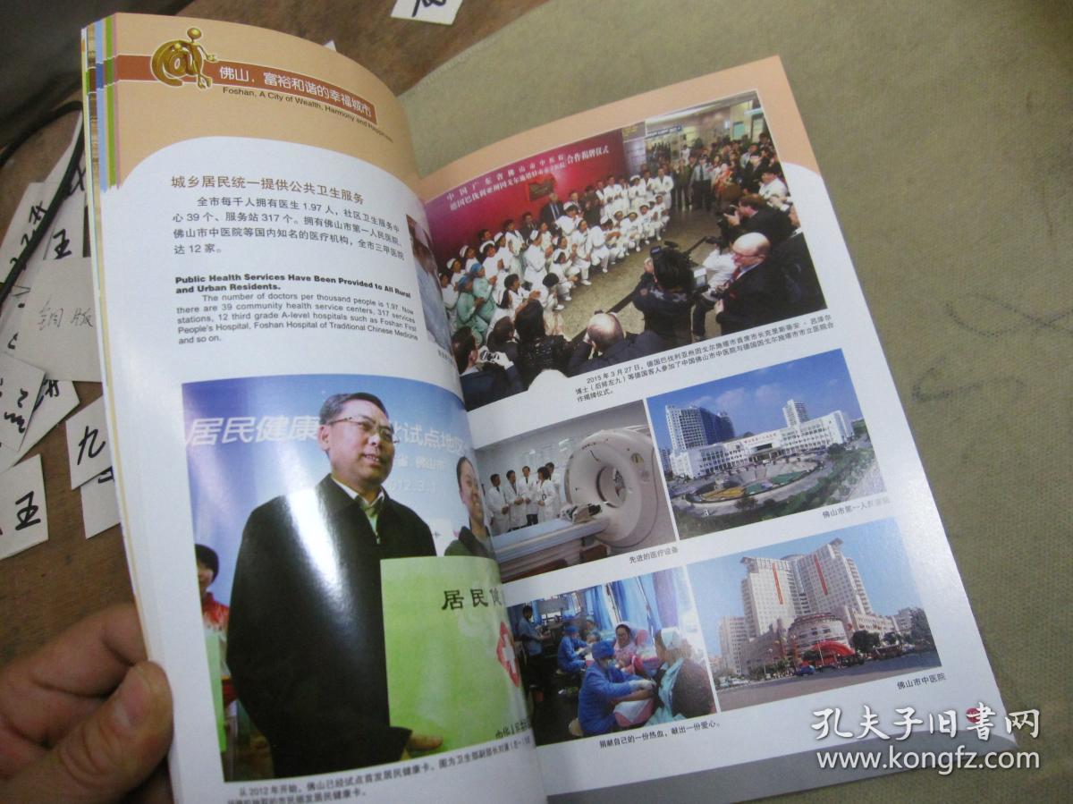 佛山2015(画册 图册)