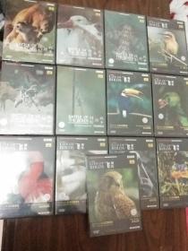 LIFE OF BIRDS-大卫艾登堡禄-动物世界《飞禽传》《性别的战争》13碟VCD碟-未拆封
