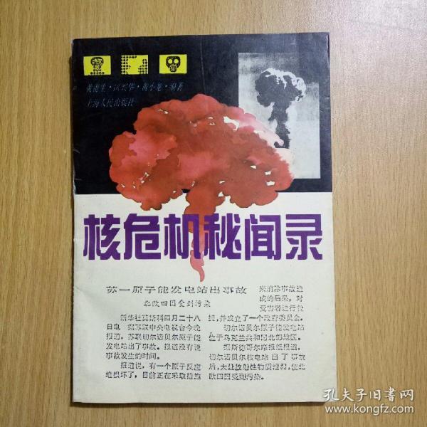 核危机秘闻录_黄甫生,匡兴华,黄小龙_孔夫子旧书网
