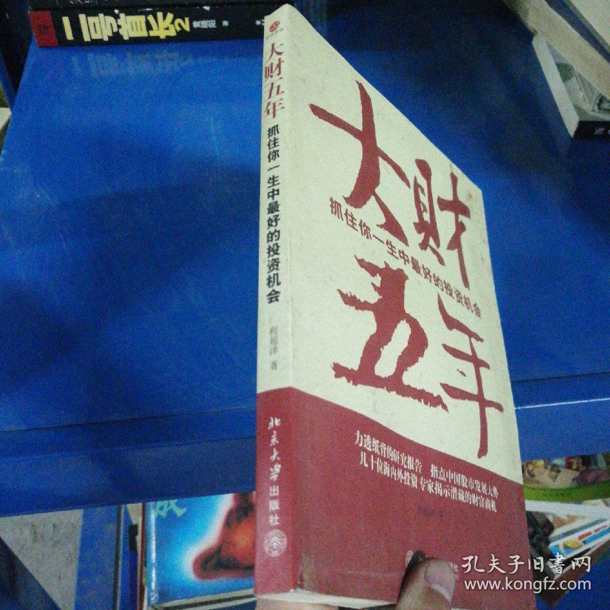 大财五年:抓住你一生中最好的投资机会