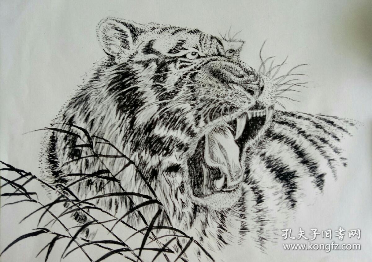 虎钢笔画