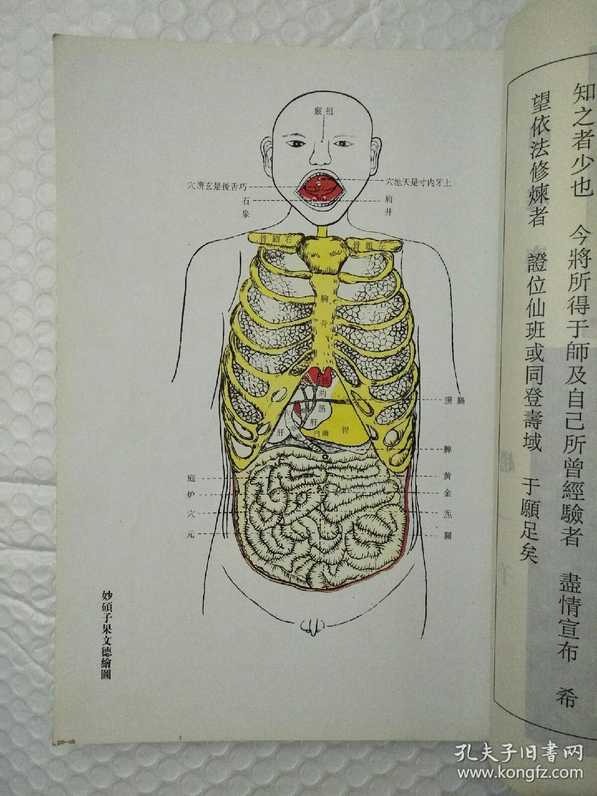 性命法诀明指