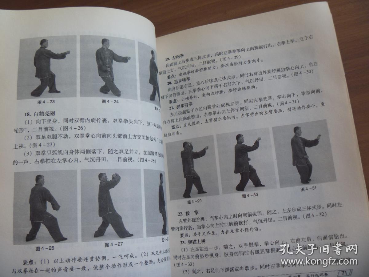 形意拳—十二形经典套路