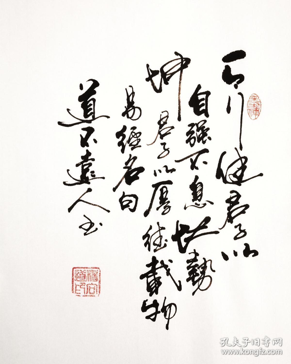 保真知名书法家杨向道道不远人精品力作易经名句