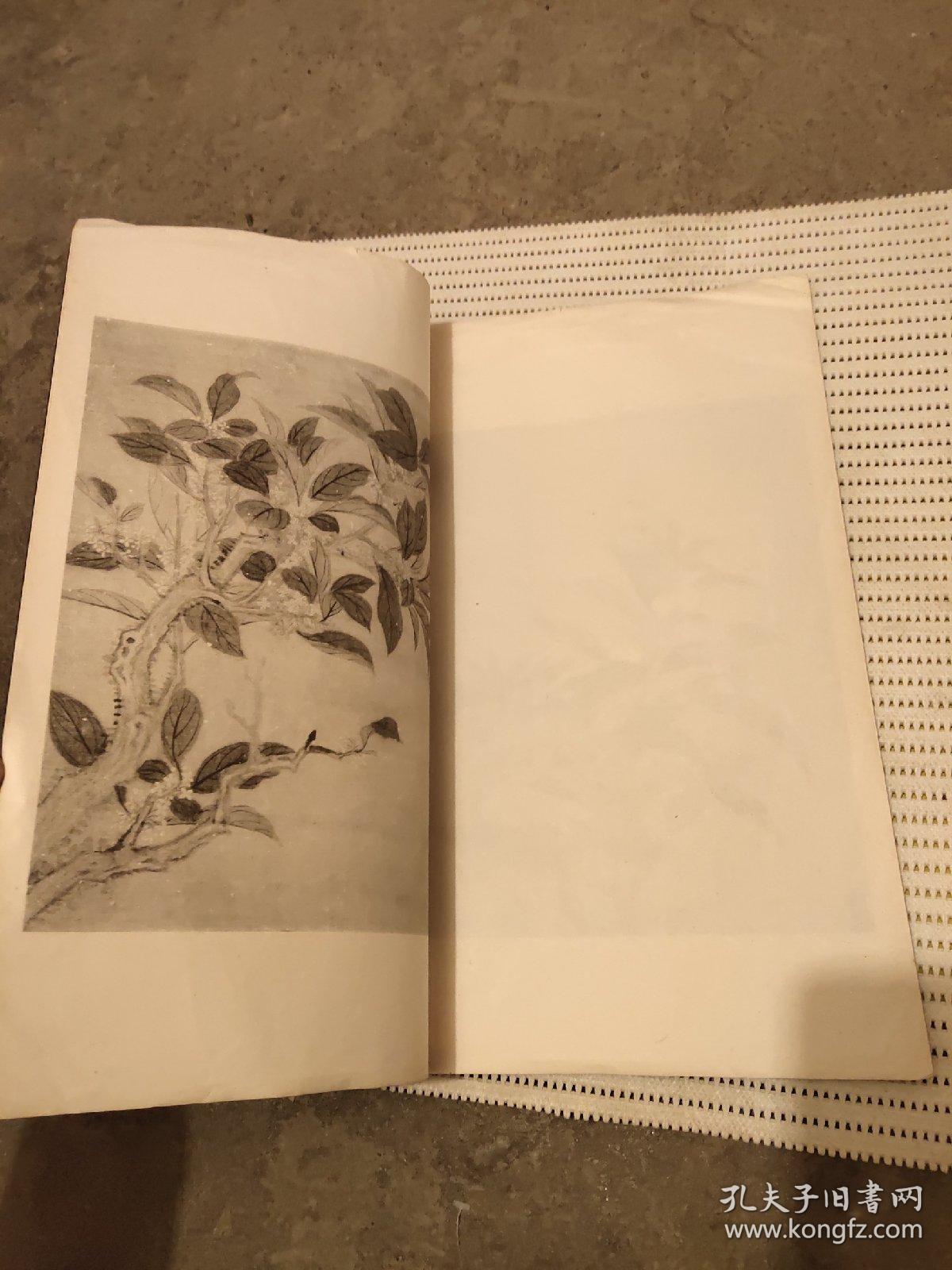 民国24年珂罗版(恽南田花卉册)