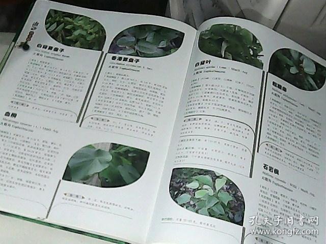 潮汕中草药