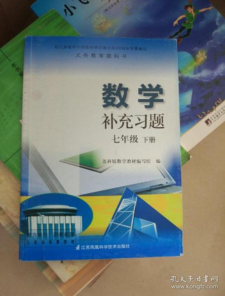 数学补充习题 七年级下册