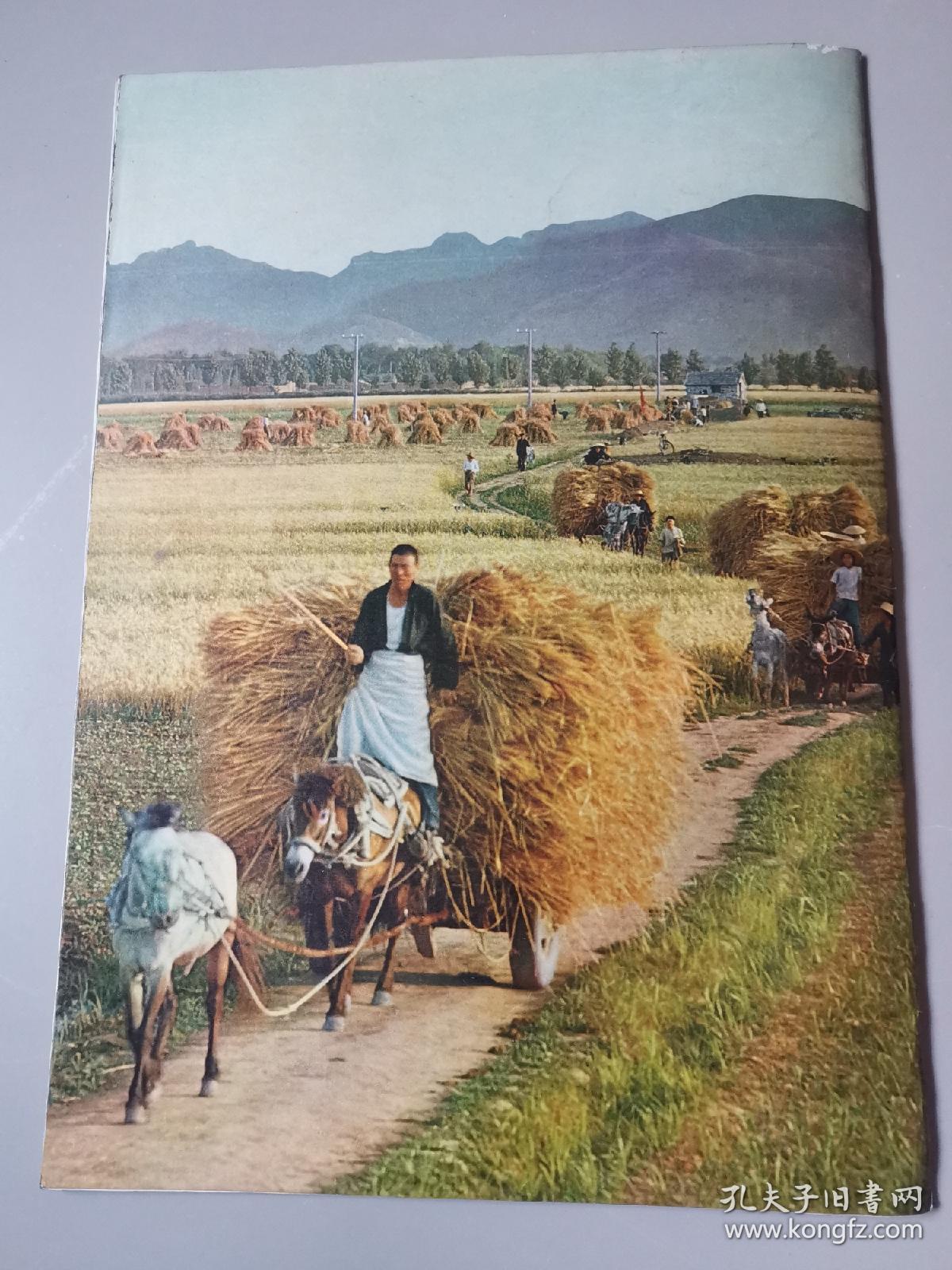 人民画报(1967年9期)