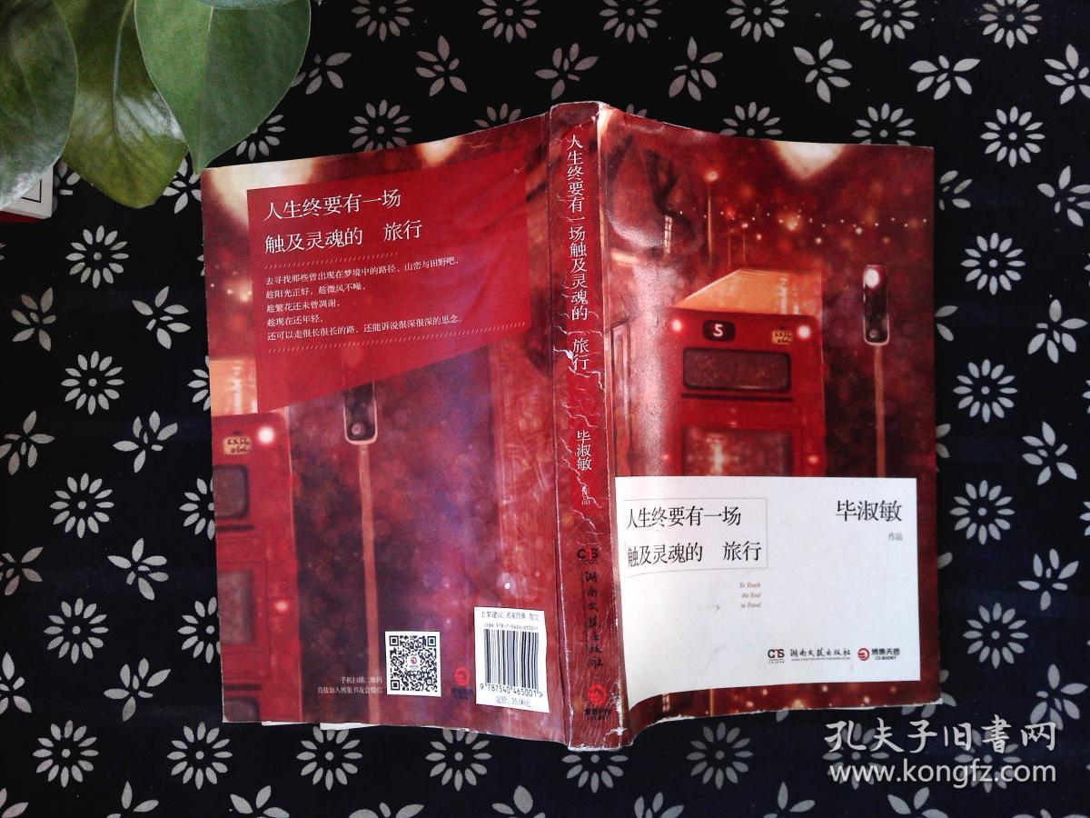 人生终要有一场触及灵魂的旅行 毕淑敏  著/ 湖南文艺出版社/ 2014-03