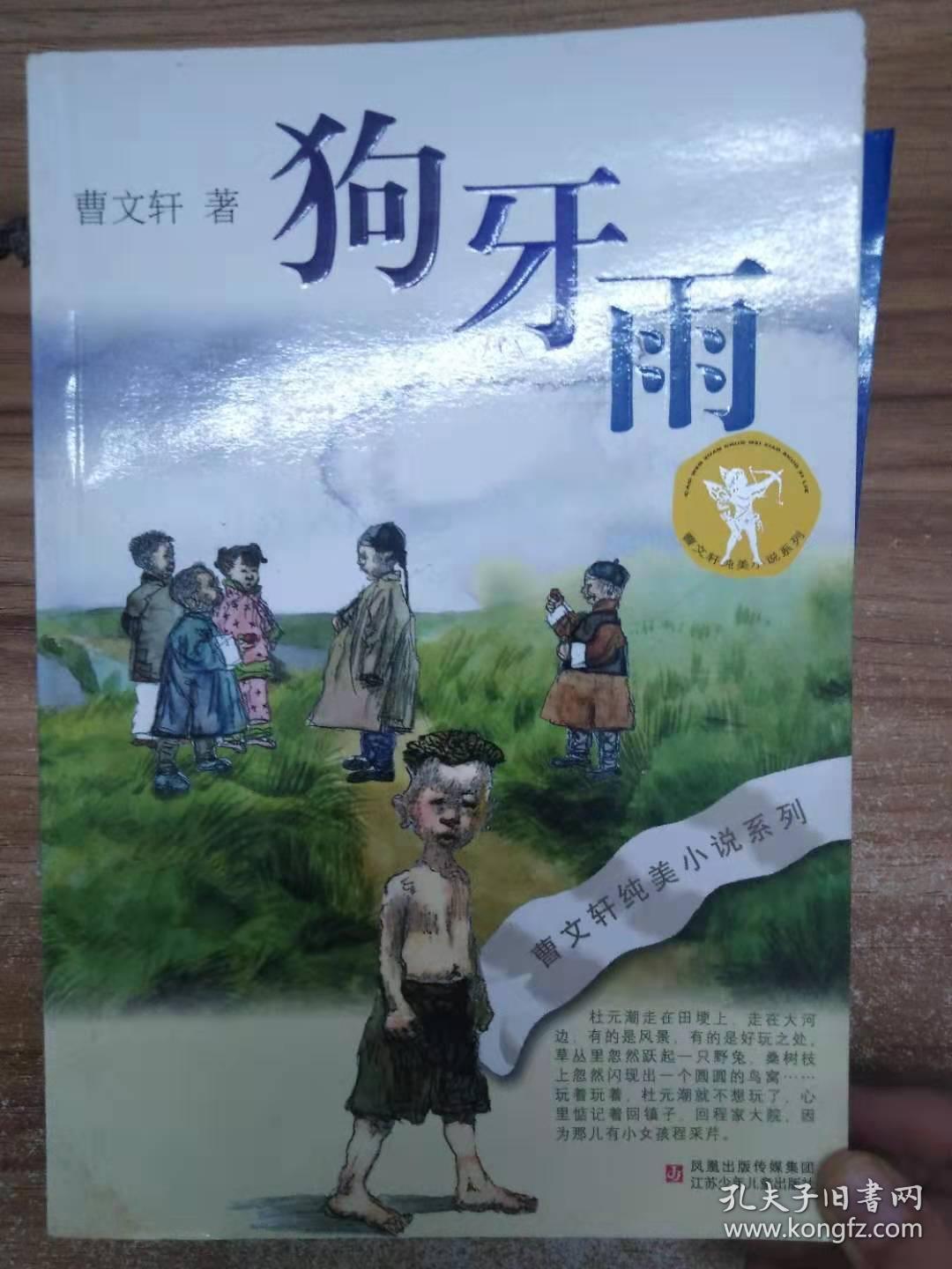 狗牙雨:曹文轩纯美小说系列