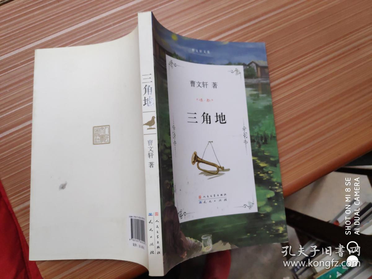 曹文轩文集:三角地