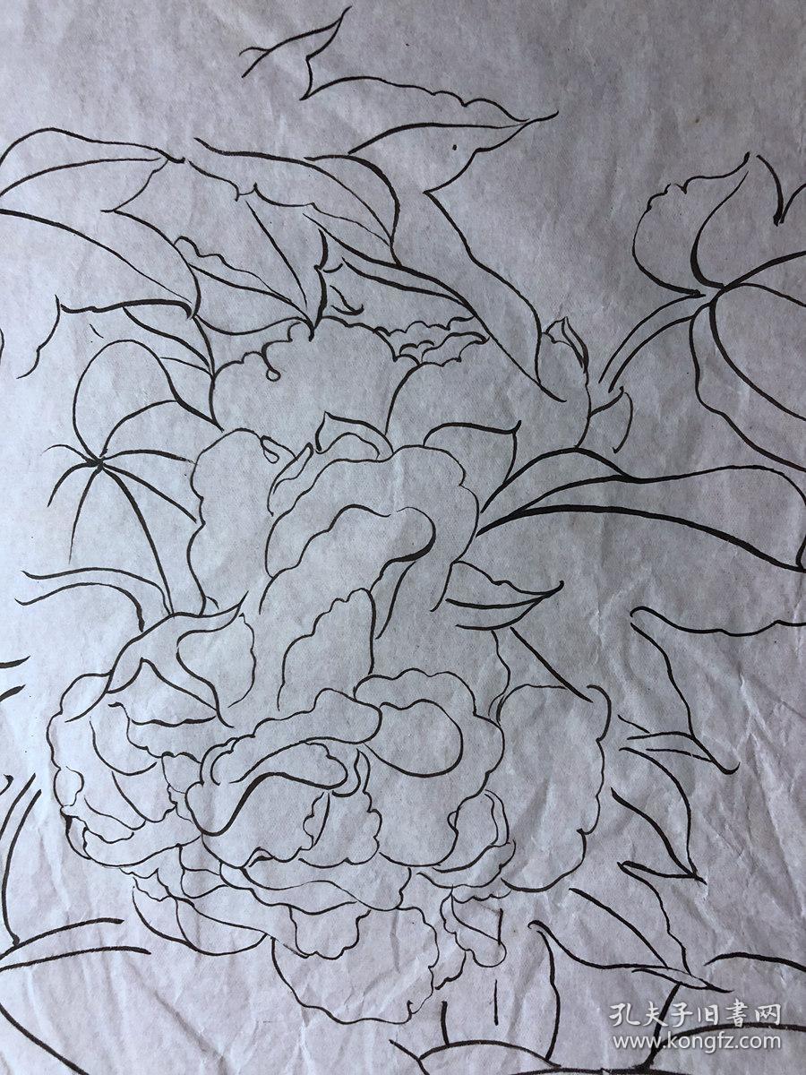 书画原作3019,巴蜀画派·名家【江溶】70年代工笔白描,芙蓉