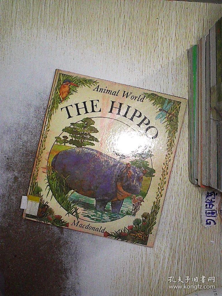 the hippo animal world 河马动物世界