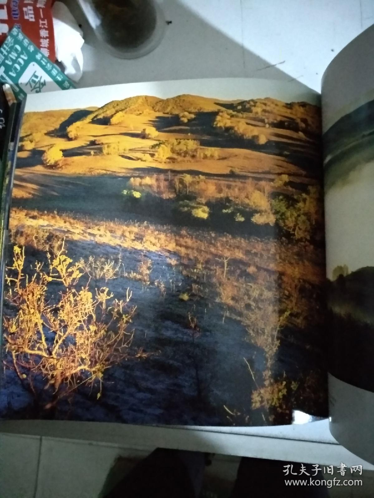 放眼围场,白云飞木兰围场风光摄影集