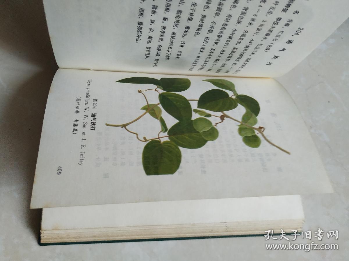 云南中草药选【续集】