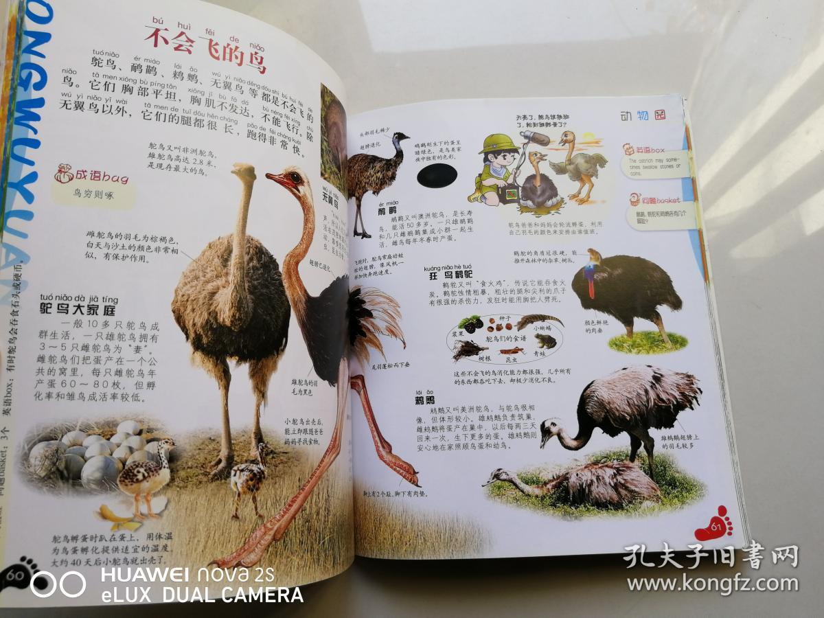 中国儿童百科全书--上学就看:动物园