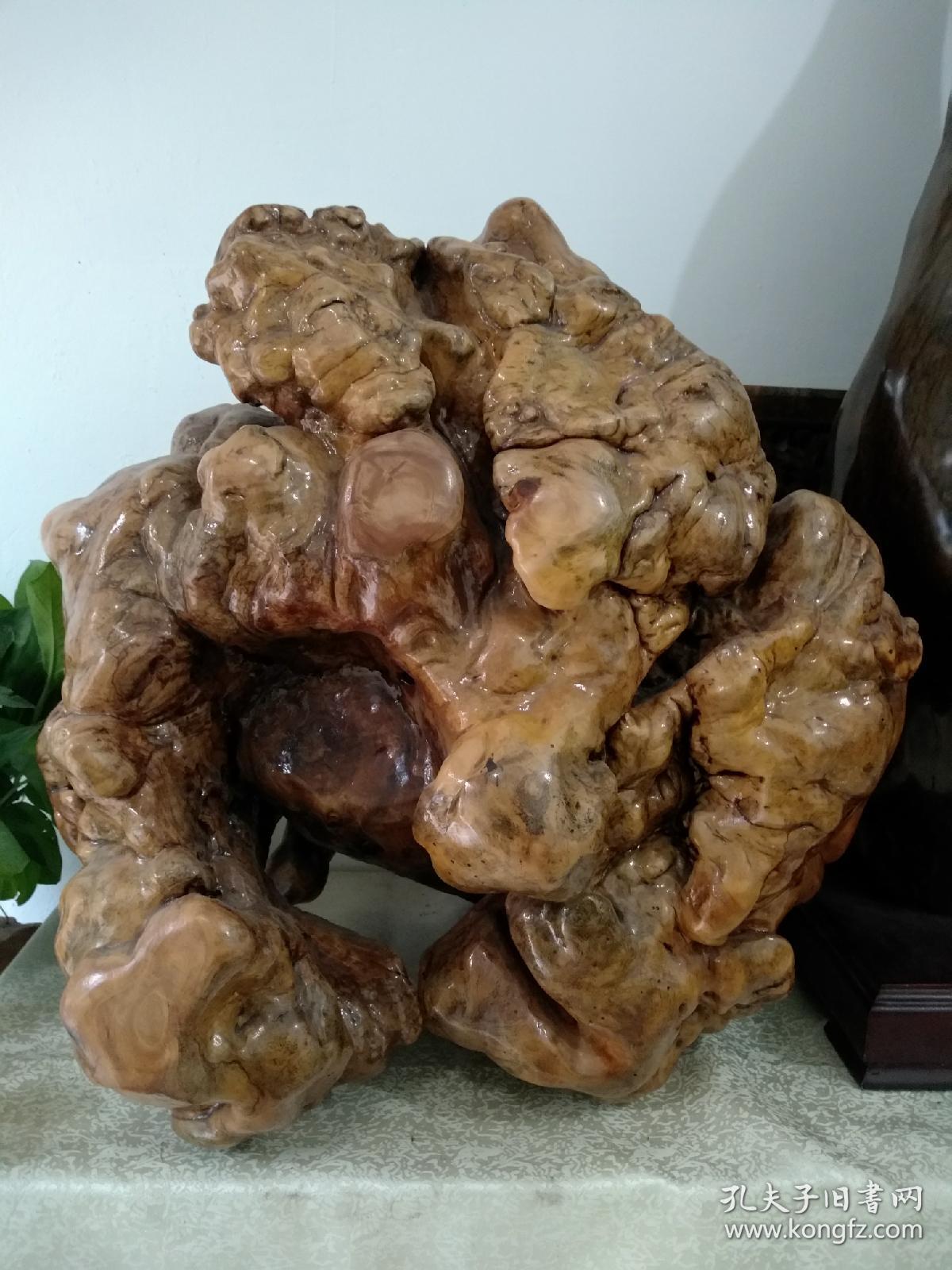 戈壁胡杨木树瘤,满瘤子,形状奇美,天生怪胎,世所罕见.