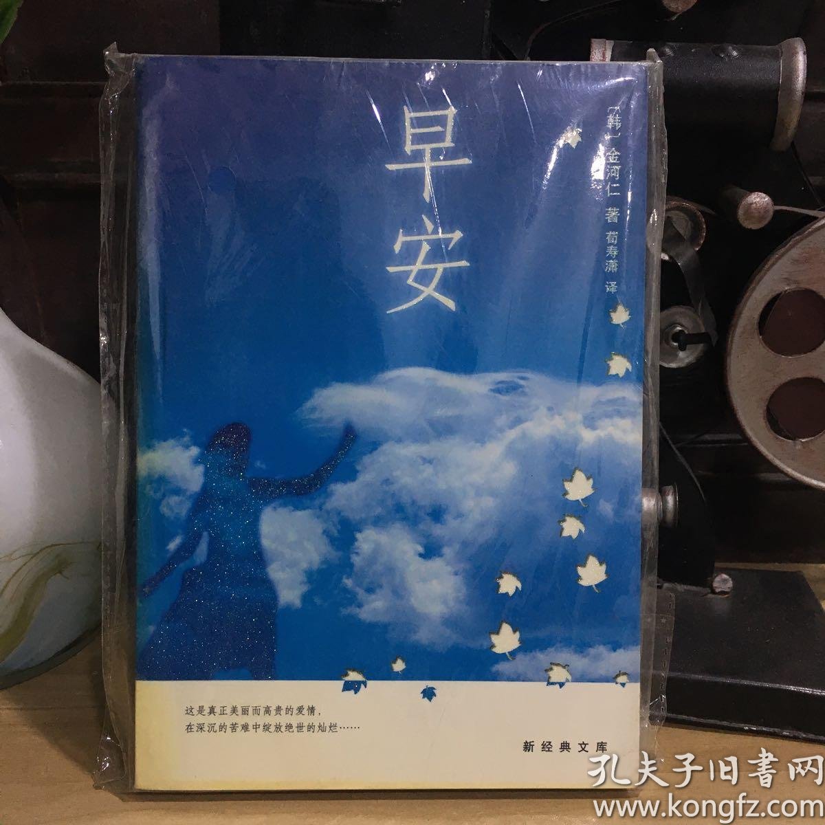 早安:新经典文库