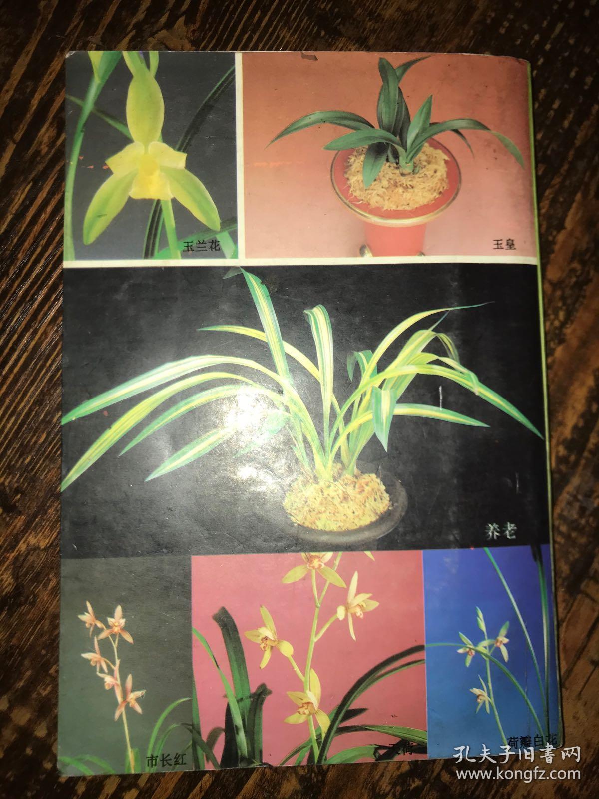 《兰花鉴别手册》《古今兰花名品》《兰花基础集锦》【3本合售】