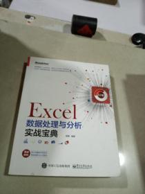 Excel仪表盘实战 Excel数据处理与分析实战宝典