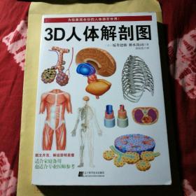 3D人体解剖图，