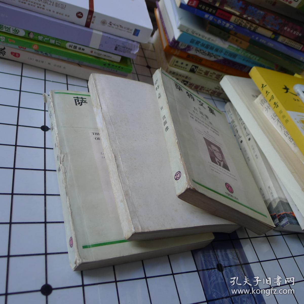 萨特文集 ii 苍蝇