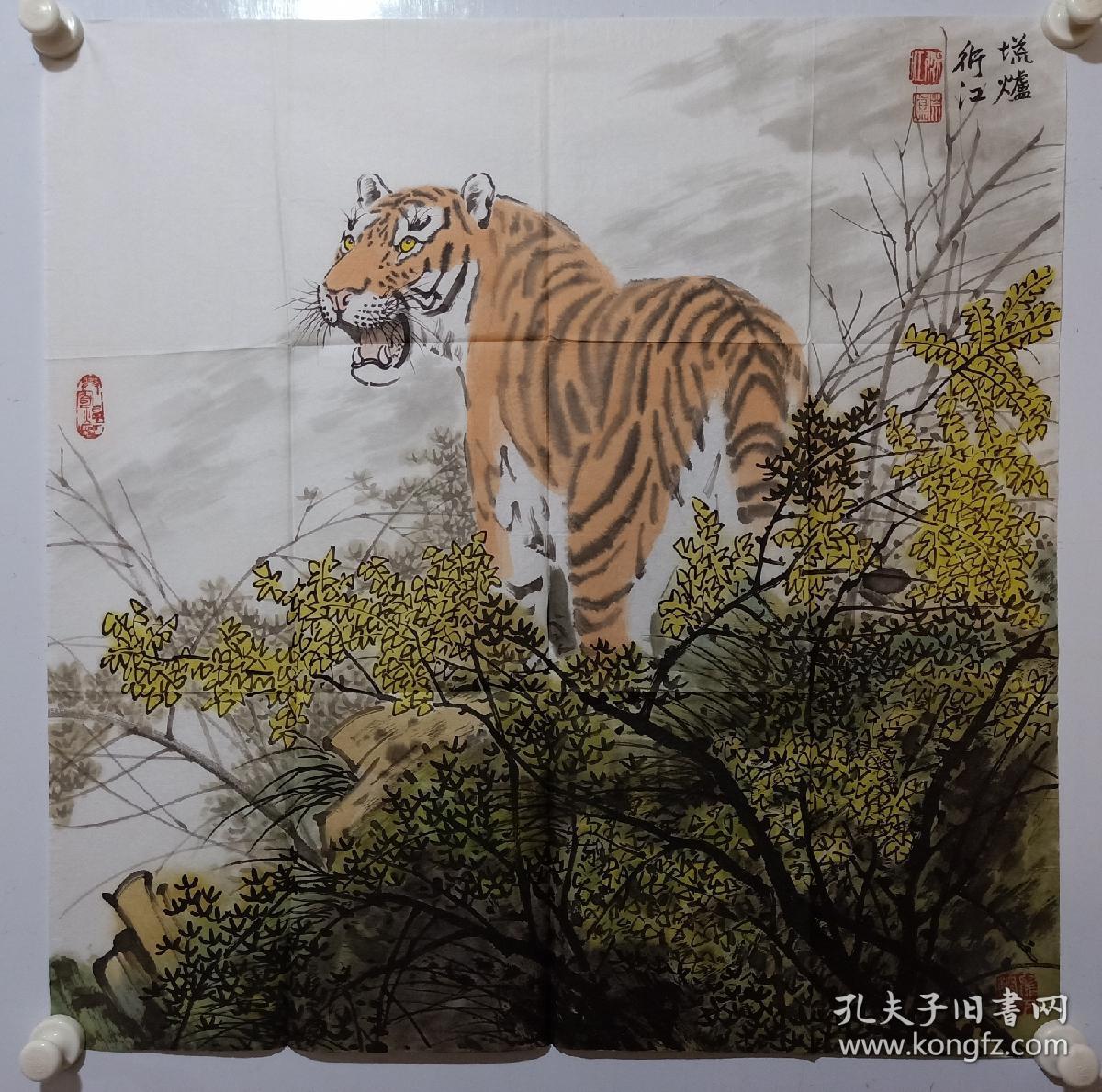 保真书画,当代画虎名家阴衍江国画《写意老虎》一幅,尺寸70×69cm