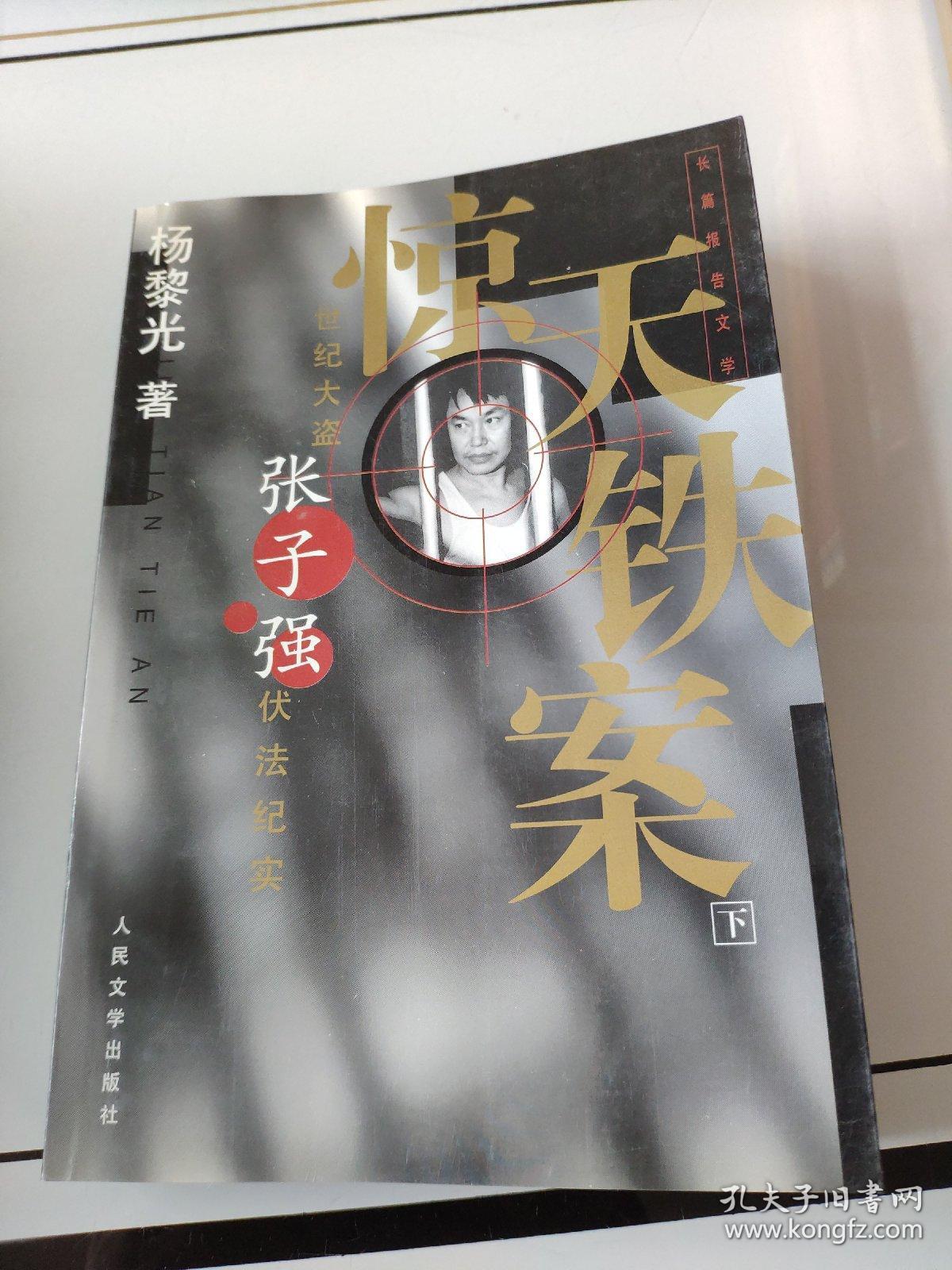 惊天铁案下单册