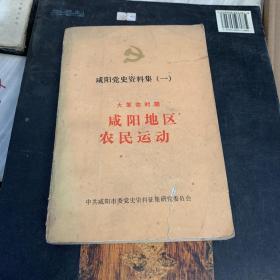 咸阳党史资料集（一）——大革命时期咸阳地区农民运动