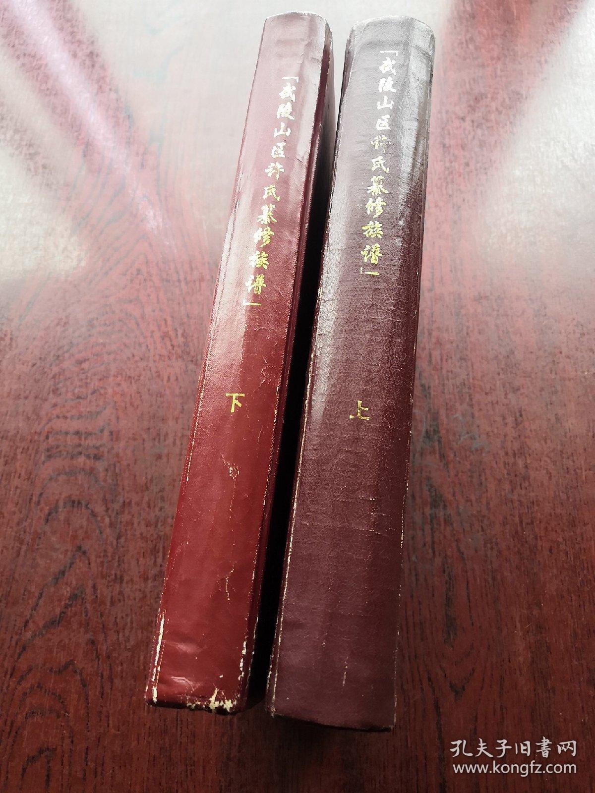 高阳唐许氏族谱(精装16开上下集共1373页)