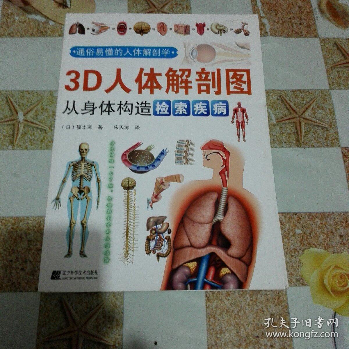 3d人体解剖图:从身体构造检索疾病
