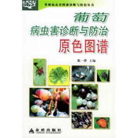 葡萄种植技术书籍 葡萄病虫害诊断与防治原色图谱
