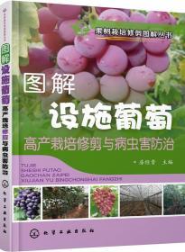 葡萄种植技术书籍 果树栽培修剪图解丛书--图解设施葡萄高产栽培修剪与病虫害防治