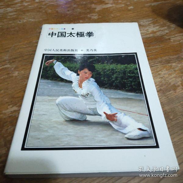 中国太极拳 李天骥