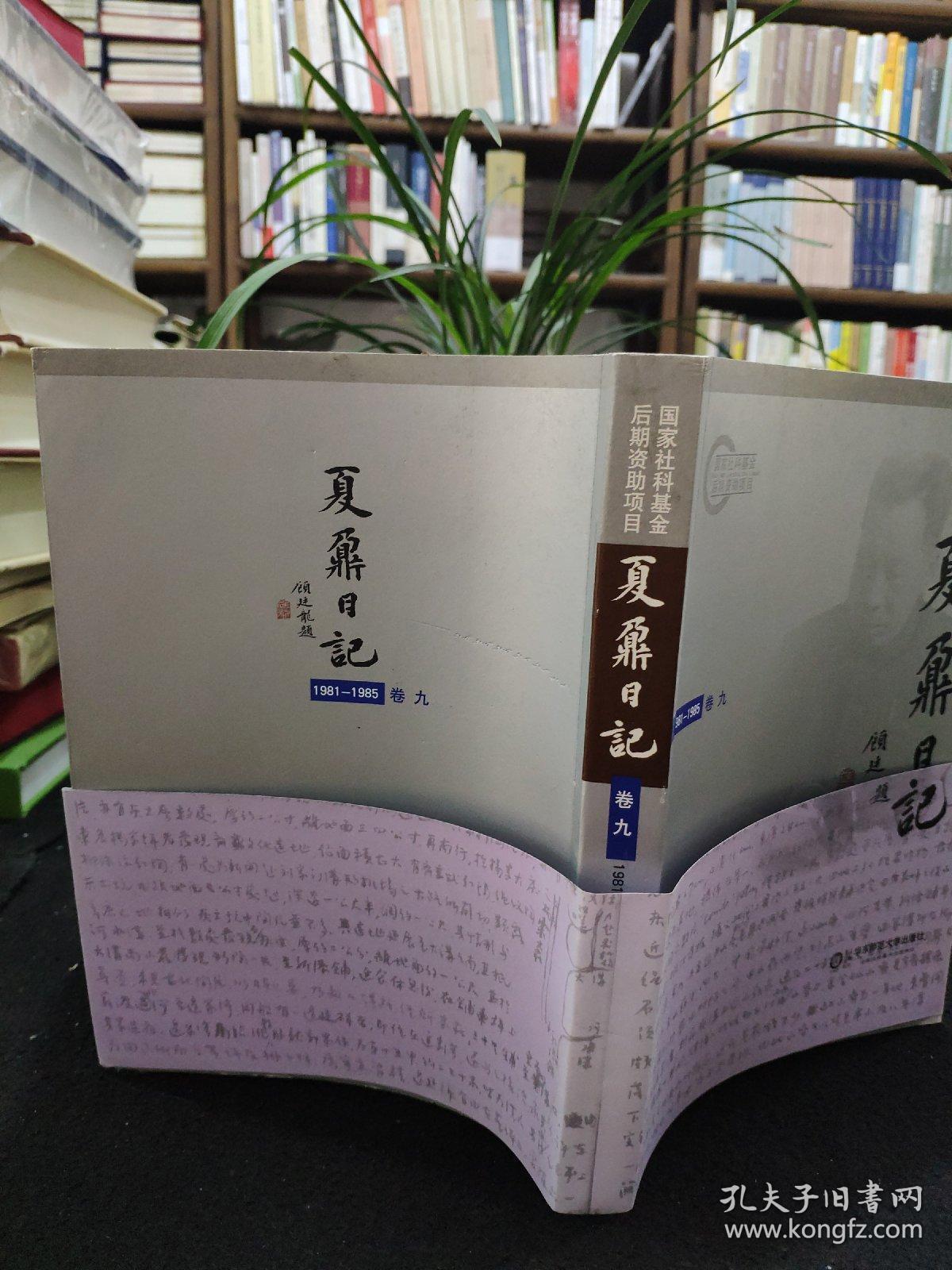 夏鼐日记:夏鼐考古笔记(共十册)