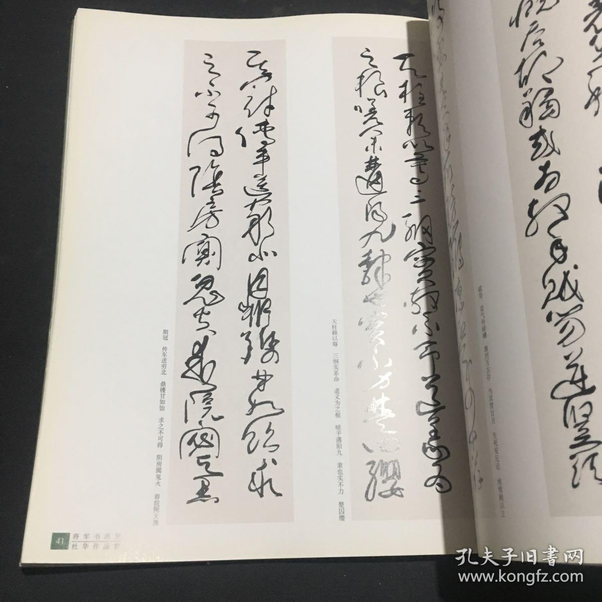 杜华将军书法作品集