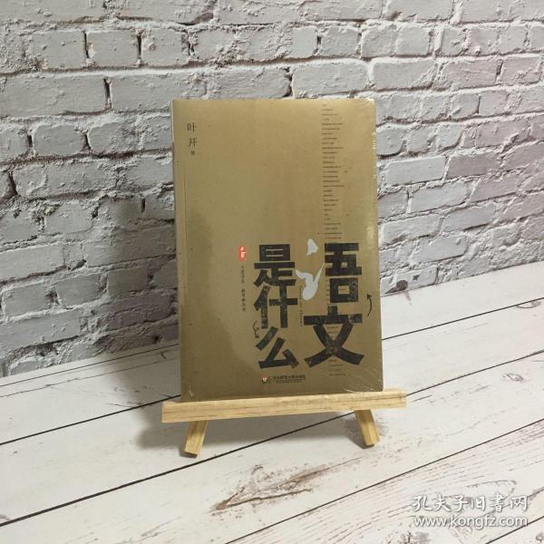 语文是什么正版原版现货 新书 带塑封 闪电发货叶开著